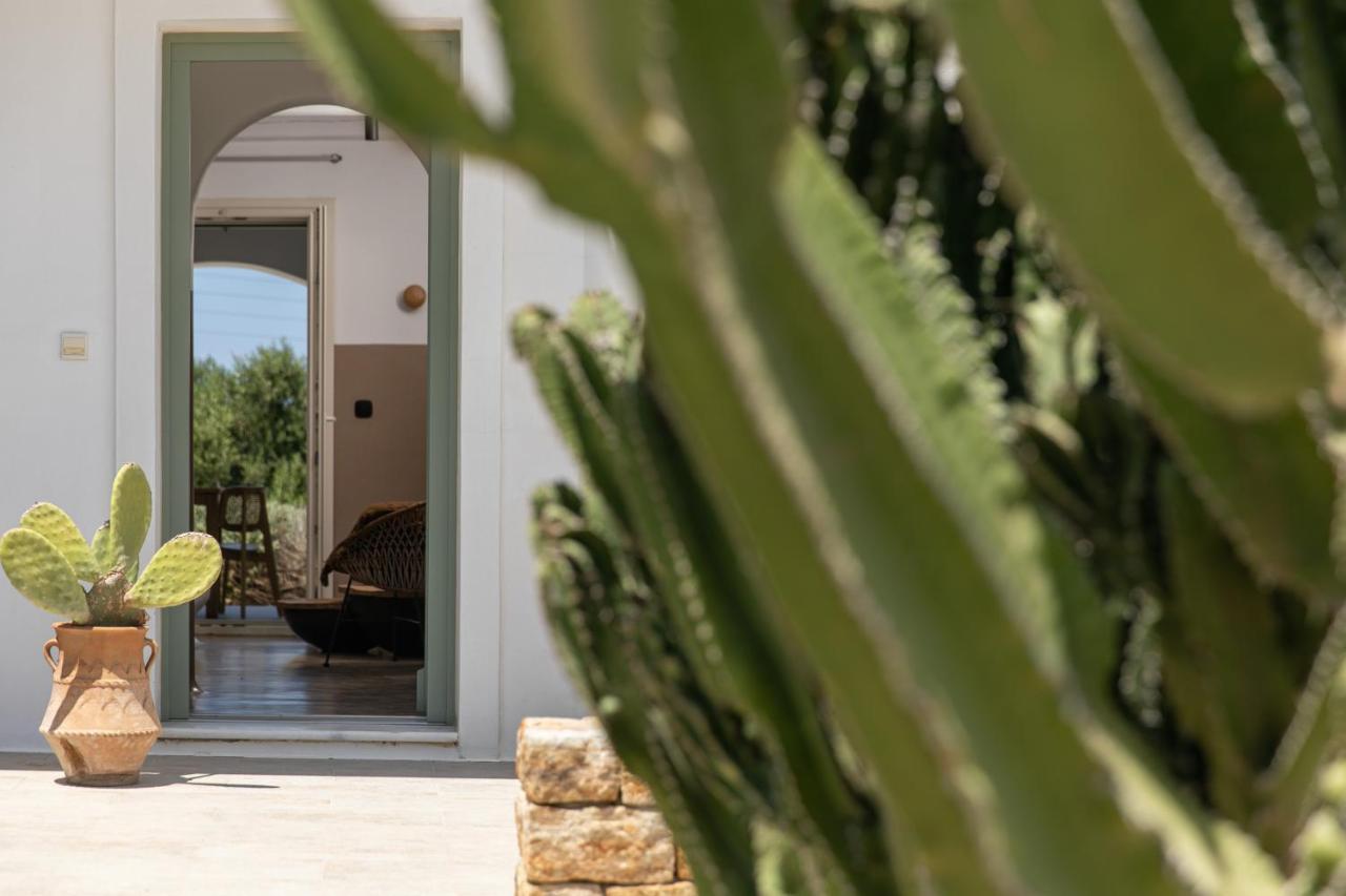 Naxos Euphoria Suites Stelida  Exterior photo